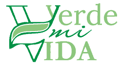 Partner logo - Verde